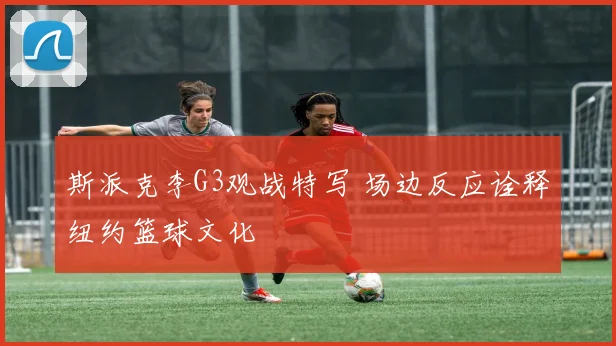 斯派克李G3观战特写 场边反应诠释纽约篮球文化