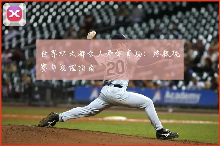 世界杯大都会人寿体育场：终极观赛与场馆指南